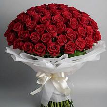 Букет 101 Красная роза Блэк Мэджик в Лахденпохье