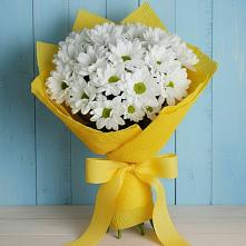 Букет цветов из:  Хризантемы в Лахденпохье