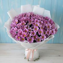 Букет цветов из:  Хризантемы в Лахденпохье