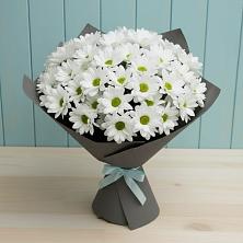 Букет цветов из:  Хризантемы в Лахденпохье