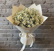 Букет цветов из:  Ромашки #REPLACE_PRED# Лахденпохье