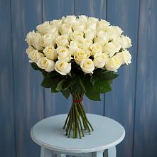 Букет 51 Белая роза Эдлесс Лав #REPLACE_PRED# Лахденпохье