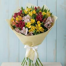 Букет цветов из:  Альстромерии #REPLACE_PRED# Лахденпохье