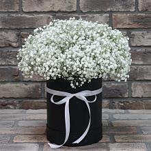 Цветочная композиция из Гипсофила в шляпной коробке #REPLACE_PRED# Лахденпохье